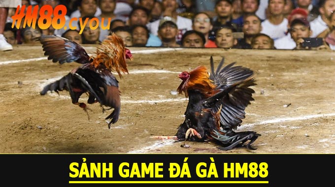 Sảnh Game Đá Gà HM88