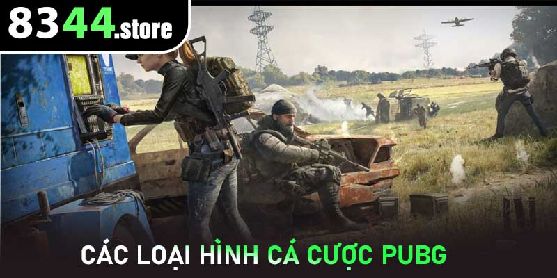 Các loại hình Cá cược PUBG 