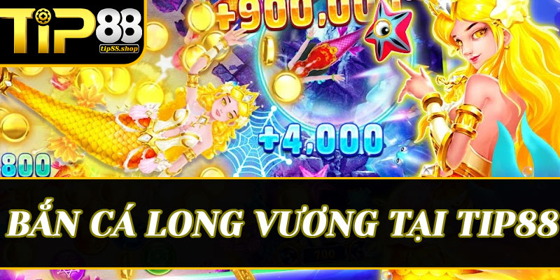 Tư duy chọn đạn: Nghệ thuật quản lý tài chính của ngư thủ Tip88